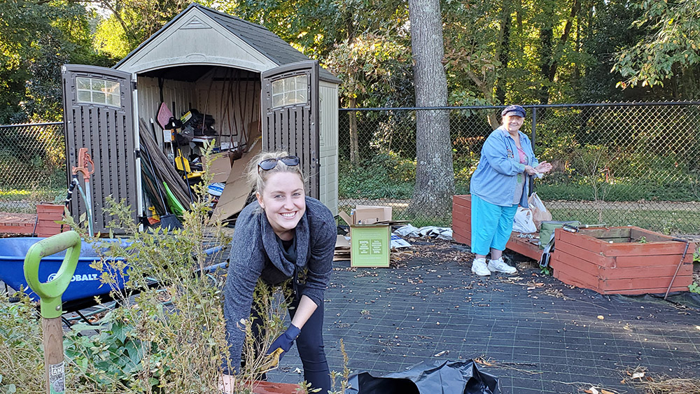 people working in raised garden beds with a shed in the background