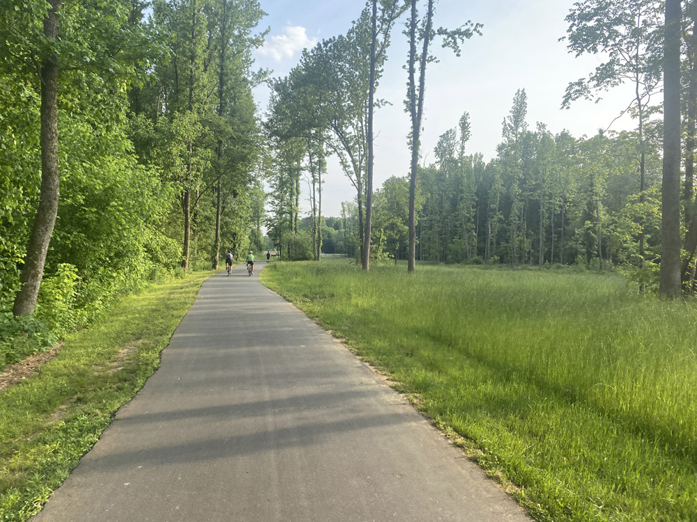 paved path surrounded by trees with people walking and bicycling